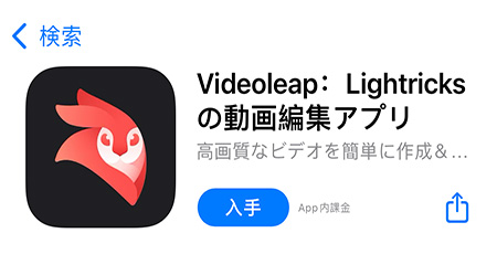 Video leap ロゴ
