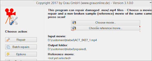 Graugmbh 비디오 복구 도구
