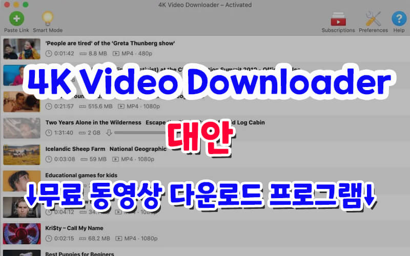 4K Video Downloader 대신 프로그램