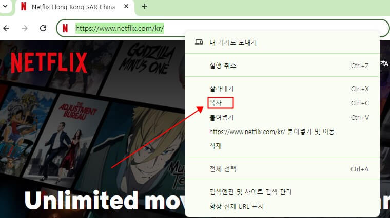 넷플릭스 URL 복사