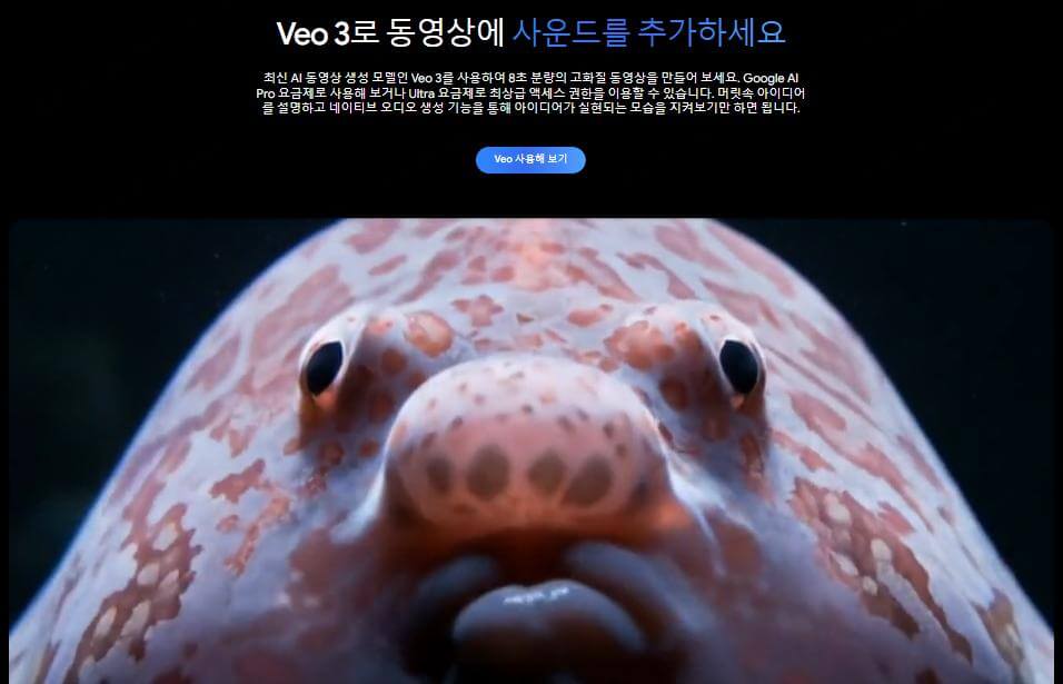 구글 VEO3