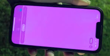 아이폰 13 핑크색 화면