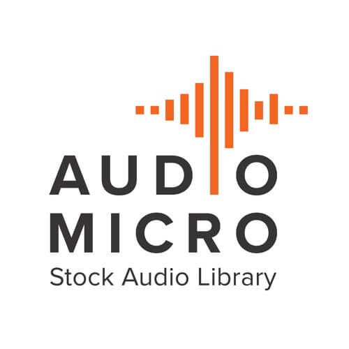 audiomicro