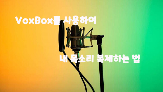 iMyFone VoxBox를 사용하여 내 목소리 복제하는 법