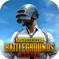 PUBG 음성 변조 프로그램