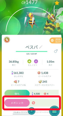 ポケモンをメガシンカさせる