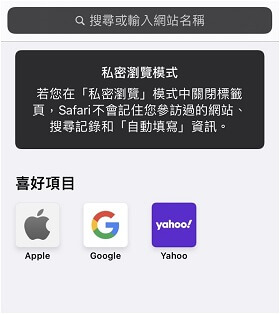 Safari 將 iPhone 隱藏 IP