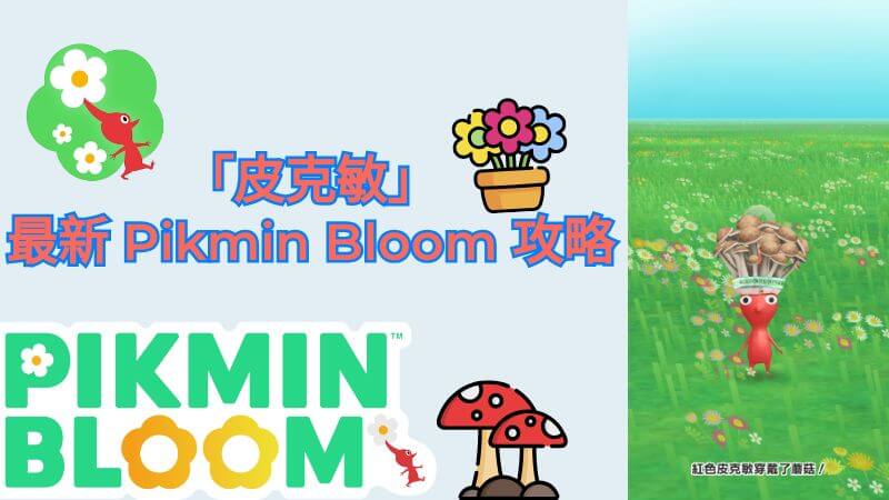 「皮克敏」最新 Pikmin Bloom 攻略