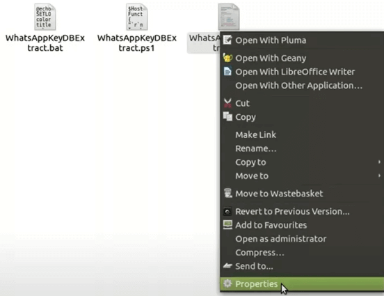 vykdyti whatsapp key db extractor