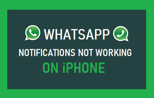whatsapp notification not working