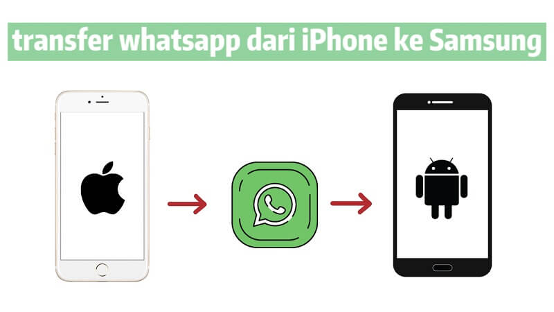 transfer WhatsApp dari iphone ke samsung