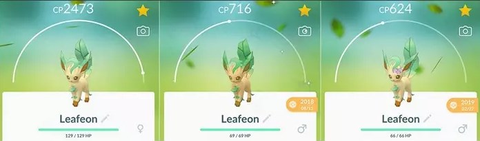 leafeon family