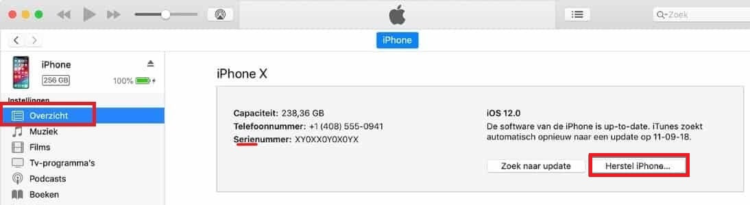 iPad herstellen via iTunes
