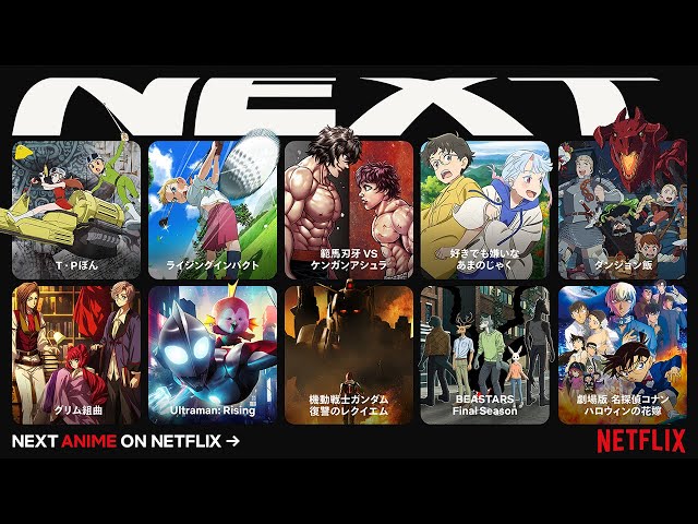 anime websites gratis-Netflix