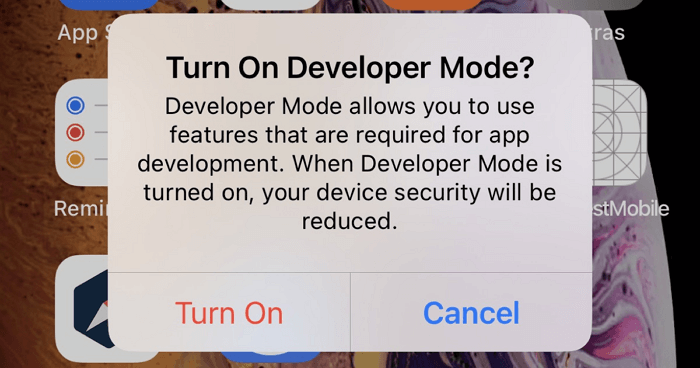 [iOS 17/16] Hoe ontwikkelaarsopties te activeren