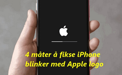 4 måter å fikse iPhone blinker med Apple logo [99% effektiv]