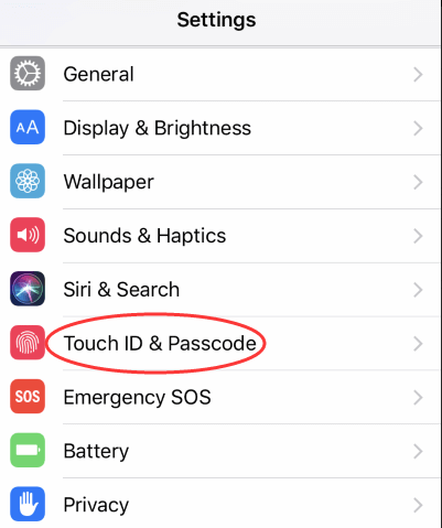 touch-id og passord