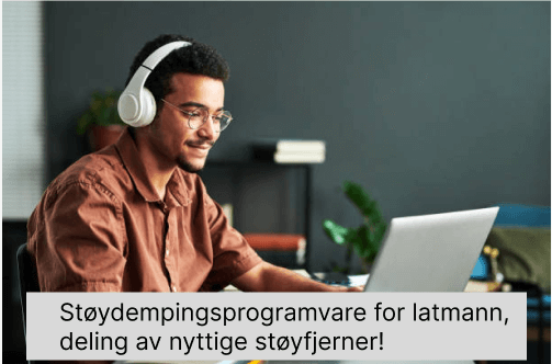 Støydempingsprogramvare for latmann, deling av nyttige støyfjerner!