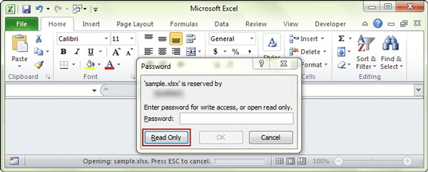 open read only excel file