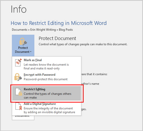 how to edit a protected word document