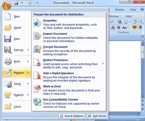 word prepare encrypt document