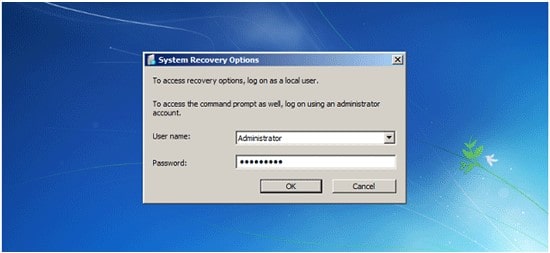 system recovery option