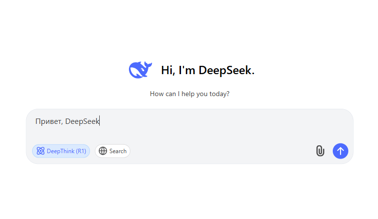 DeepSeek interface