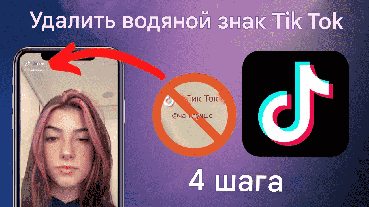 [2025] 3 бесплатных инструменты для скачиания видео с Tik Tok