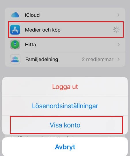 Kontrollera Apple ID-betalning information