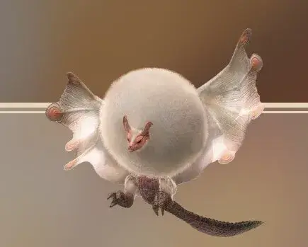 mhn Paolumu