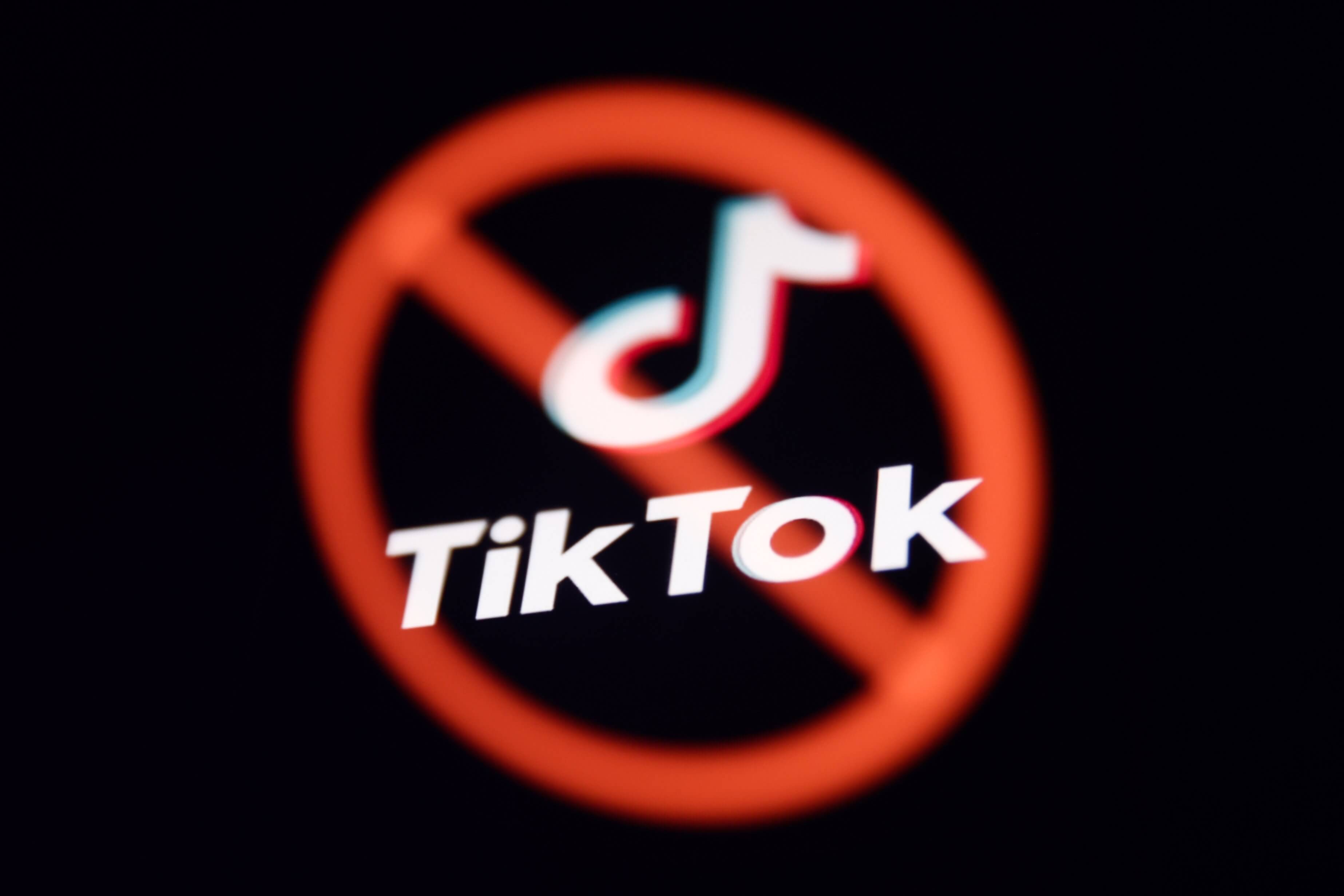 TikTok förbud