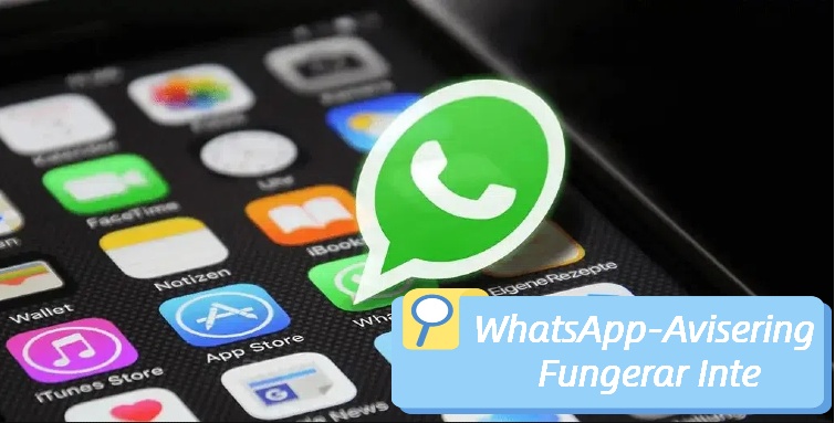 WhatsApp-avisering fungerar inte