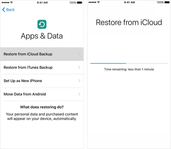 obnoviť históriu Safari zo zálohy iCloud
