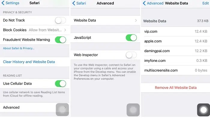 skontrolovať údaje webovej stránky Safari v nastaveniach