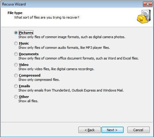 select the file type