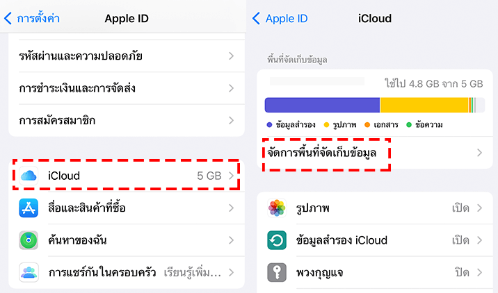 ลบข้อมูล icloud จากแอพ