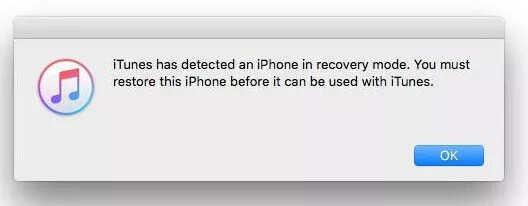 iTunes ตรวจพบ iPhone ในโหมดการกู้คืน