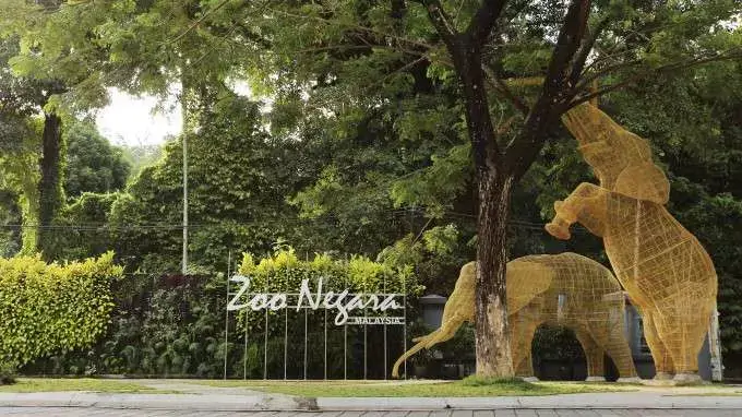 สวนสัตว์เนการา กัวลาลัมเปอร์ ประเทศมาเลเซีย
