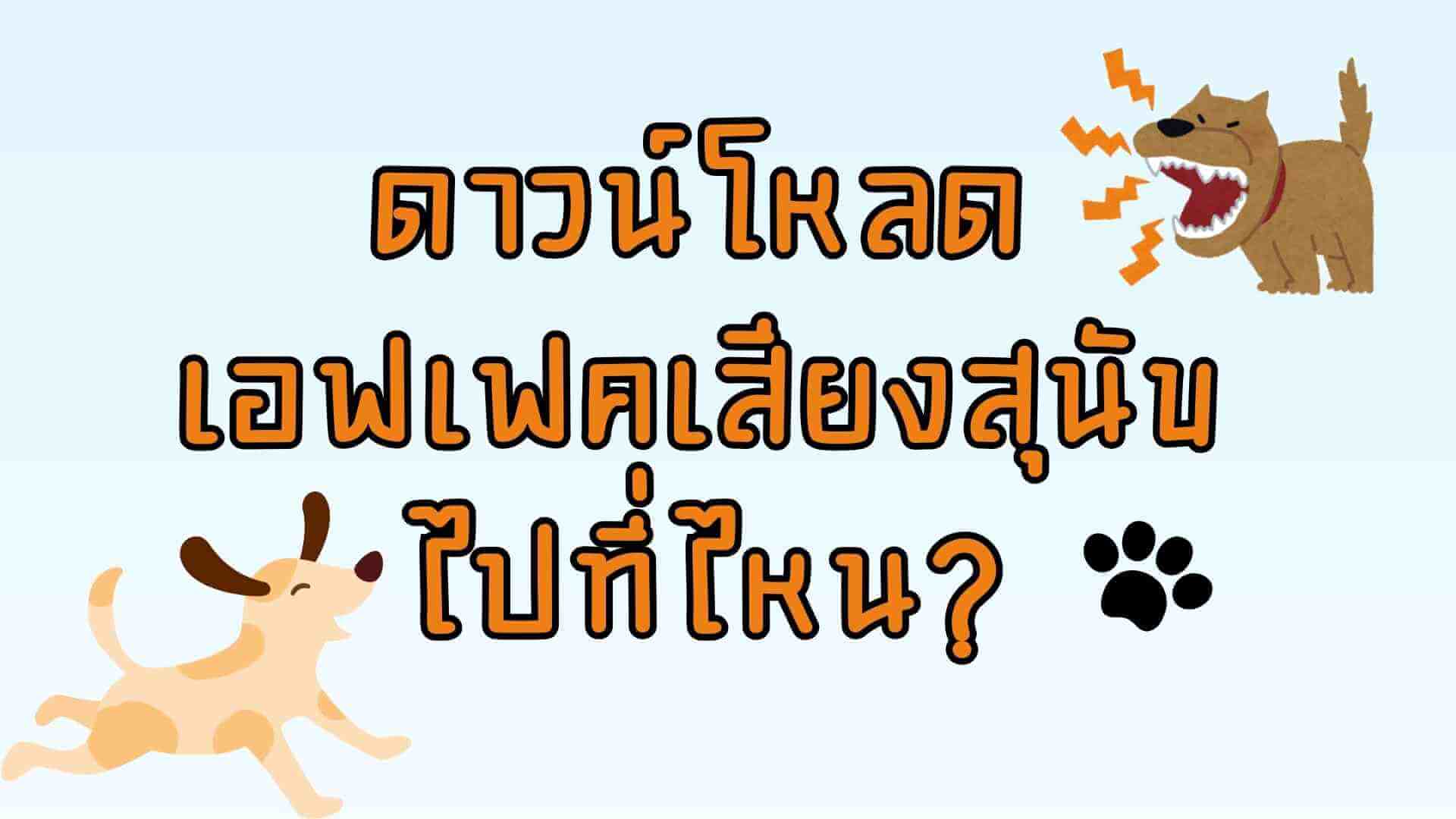 ดาวน์โหลดเอฟเฟคเสียงสุนัขไปที่ไหน? ให้ดูสมจริงและน่าสนใจ