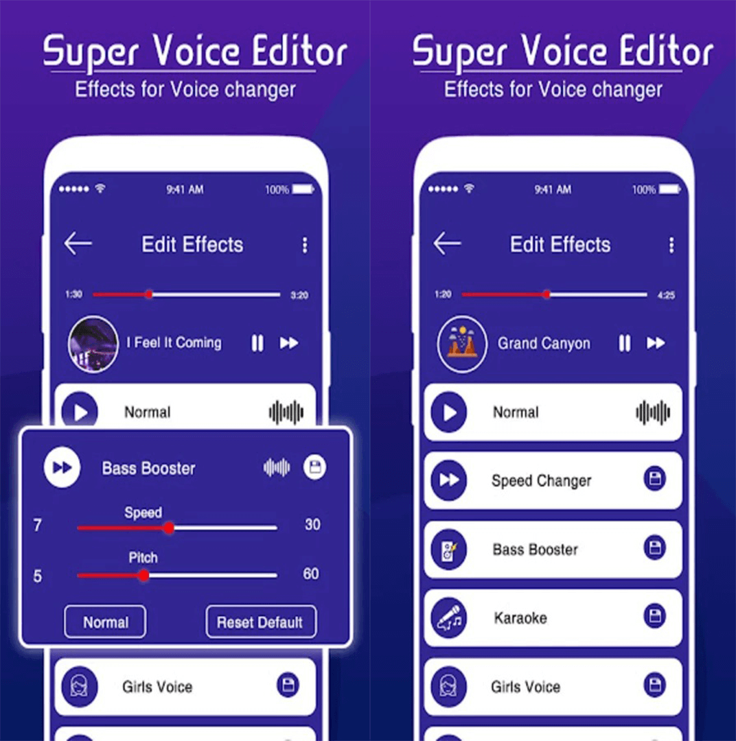 Super Voice Editor