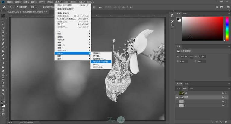 Adobe Photoshop 消除馬賽克