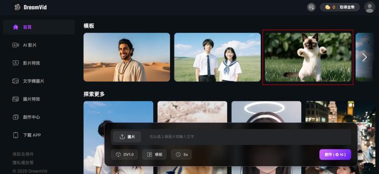 DreamVid 貓跳舞模板
