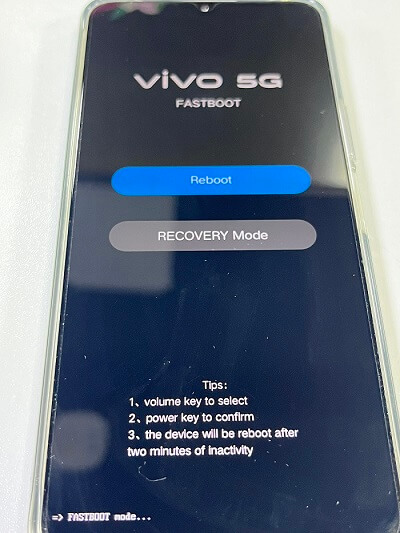 選擇 Vivo 恢復模式