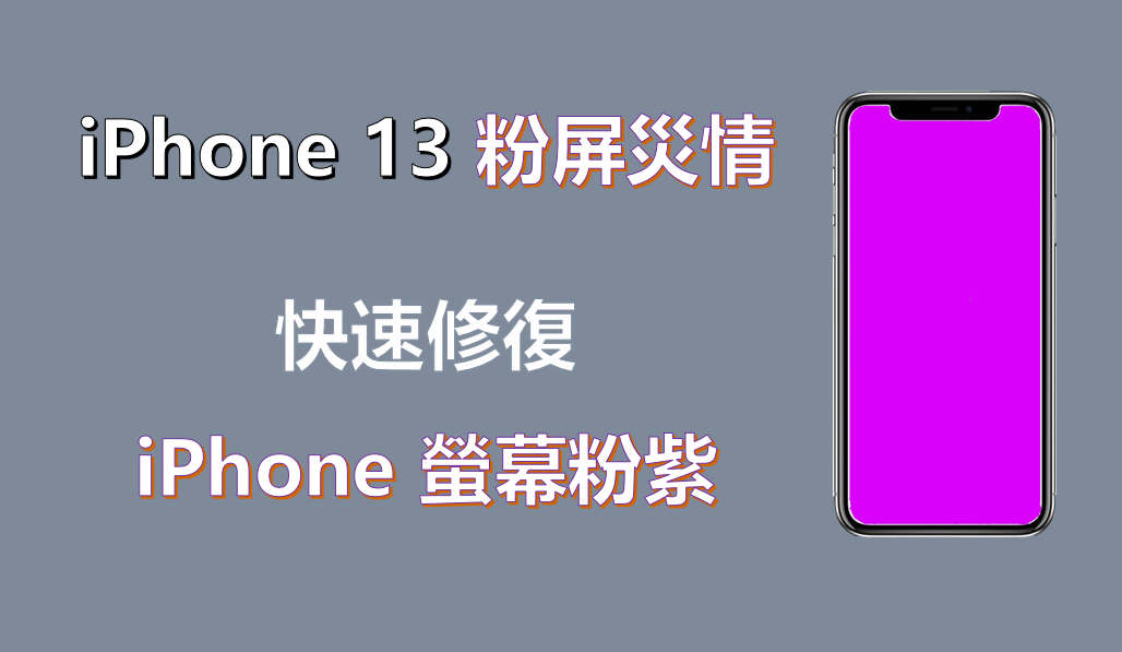 iPhone 13爆粉屏災情？這5招快速修復iPhone 14/13/12螢幕變粉紫色！