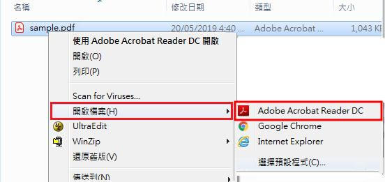 Adobe 打開 PDF