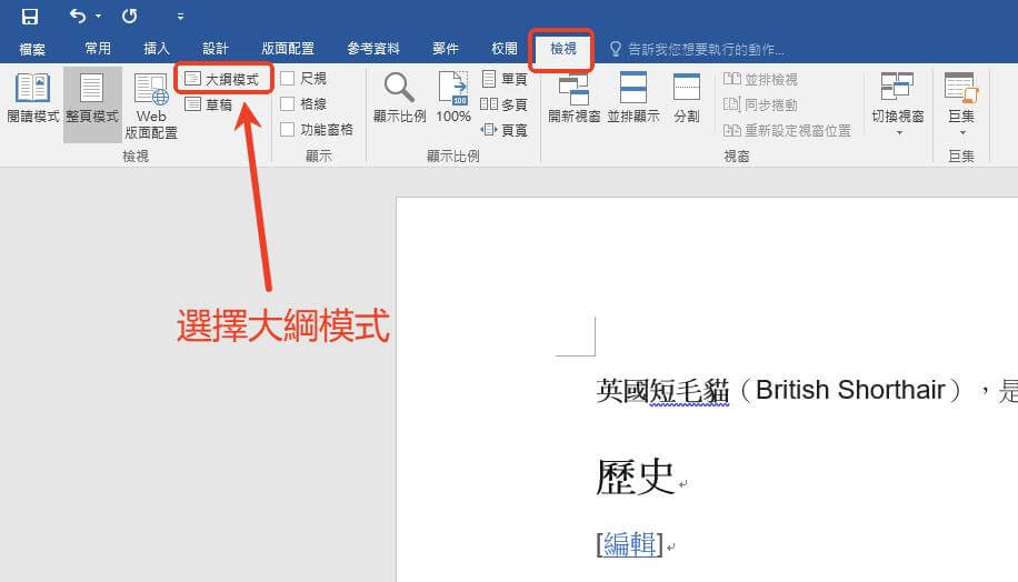 選擇大綱模式
