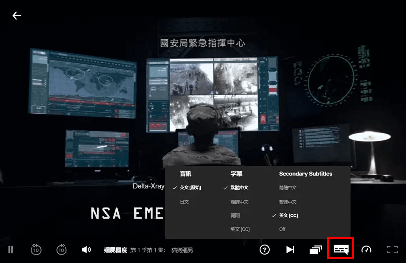 選擇 Netflix 字幕語言