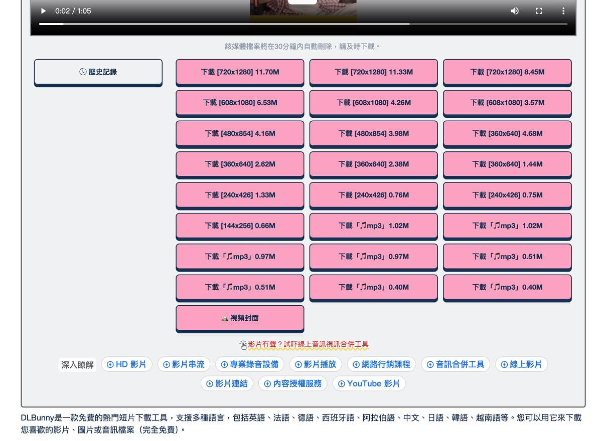 YouTube 歌曲下載