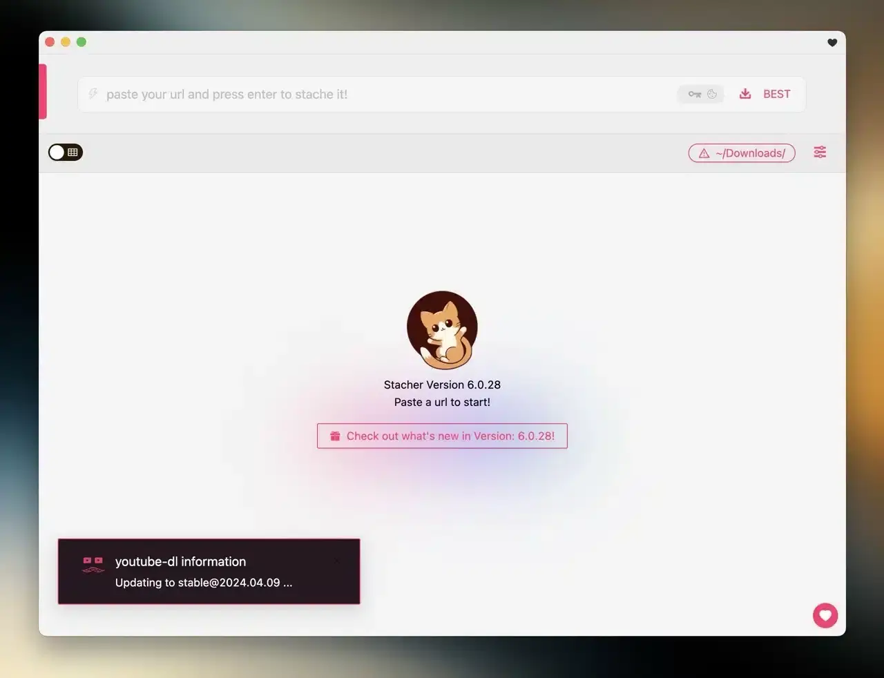 粘貼 YT 音樂下載連結