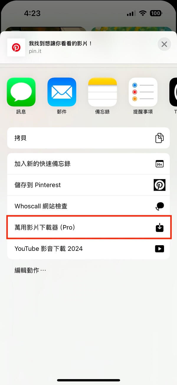 Pinterest 影片下載 iOS